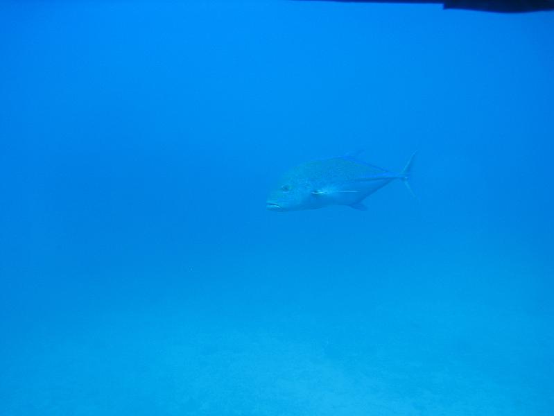 IMG_0926.JPG