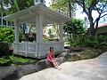 IMG_0455