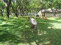 IMG_0528