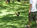 IMG_0529