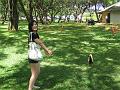 IMG_0531