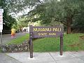 IMG_0551