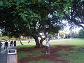 IMG_0561