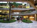 IMG_0571