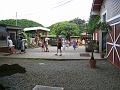 IMG_0660