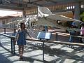 IMG_0847
