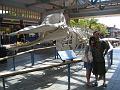 IMG_0869