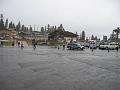 IMG_0421